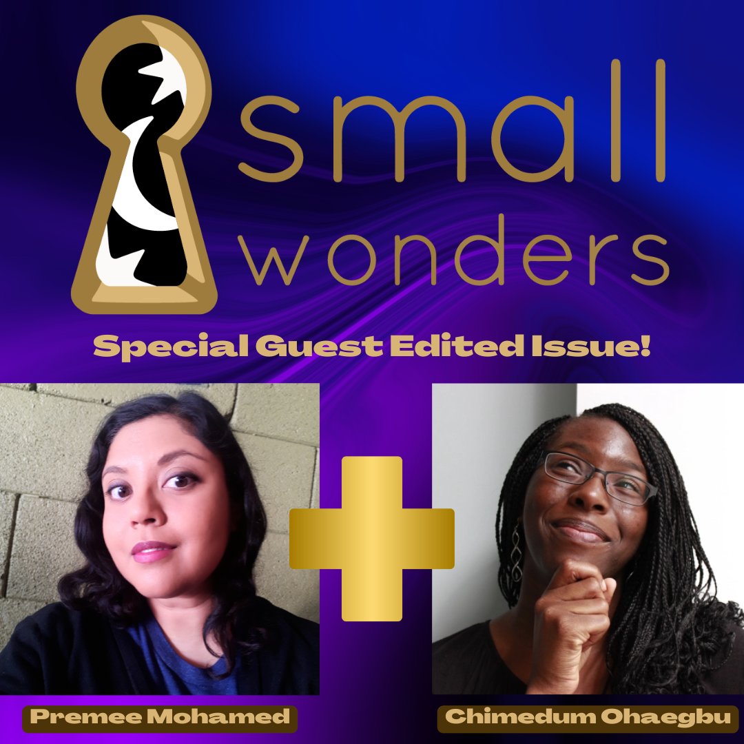 Small Wonders Magazine tweet media