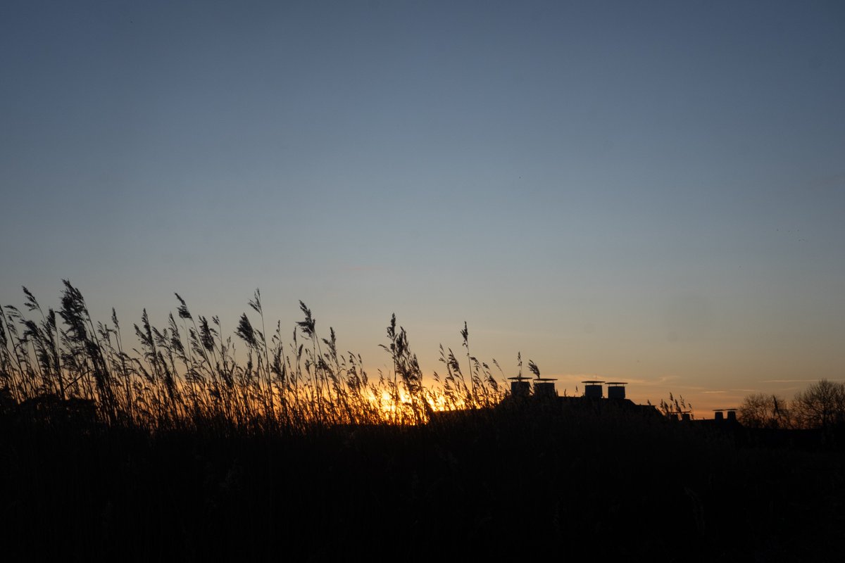 Happy Halloween! We hope everyone enjoys their day.

Looking for last minute Halloween supplies? Head over to our Food Hall for some tasty treats!