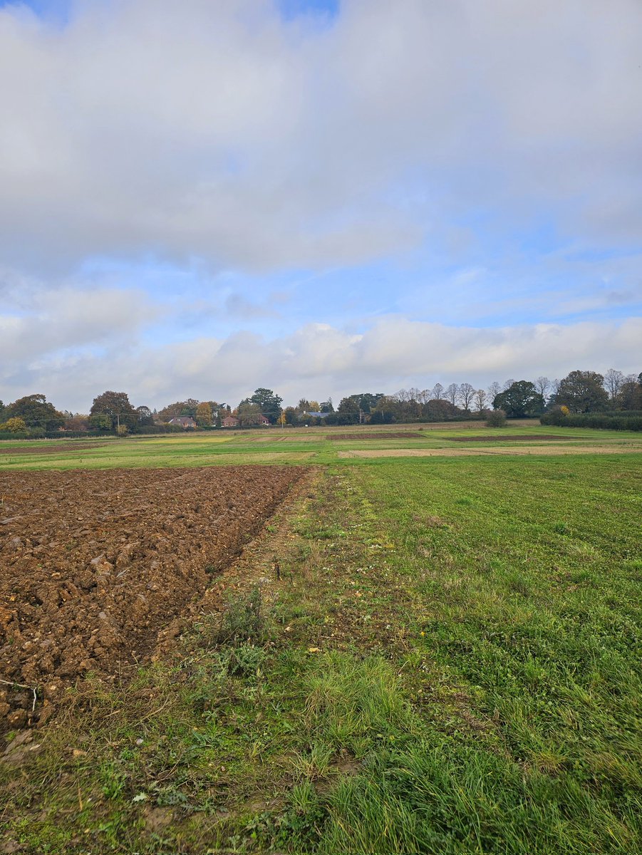 HannahVCooper's tweet image. So lucky with the weather again! Soil sampling today for @NaomiYMclean PhD looking at carbon dynamics across different #regenerative practices 🚜🌾🌱