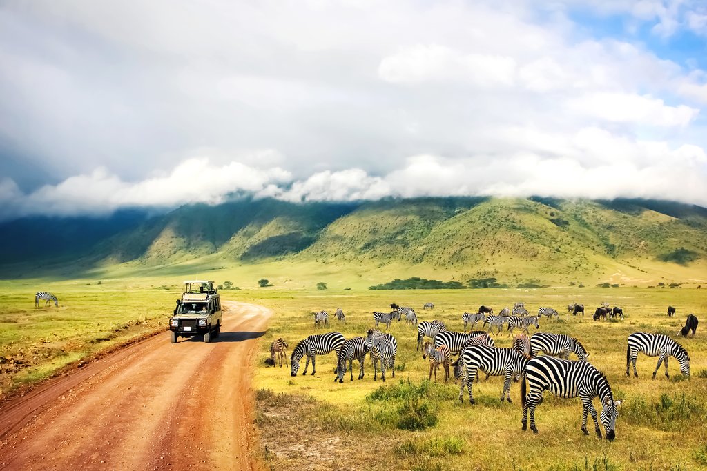 LekenLe's tweet photo. Leken #Adventure specializes in #Tanzania wildlife safaris, #Wildlife #tours and Safaris to Lake Manyara National Park, Tarangire National Park, #Arusha National Park and #Ngorongoro #Crater, Kenya safari and and great

https://t.co/59mBusLsSt https://t.co/Yjjtjp9Wqh