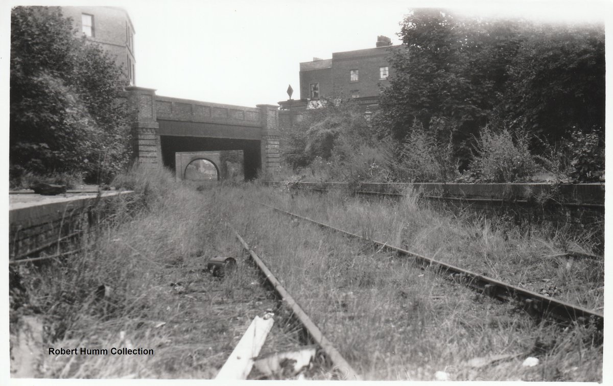 Robert Humm & Co tweet media