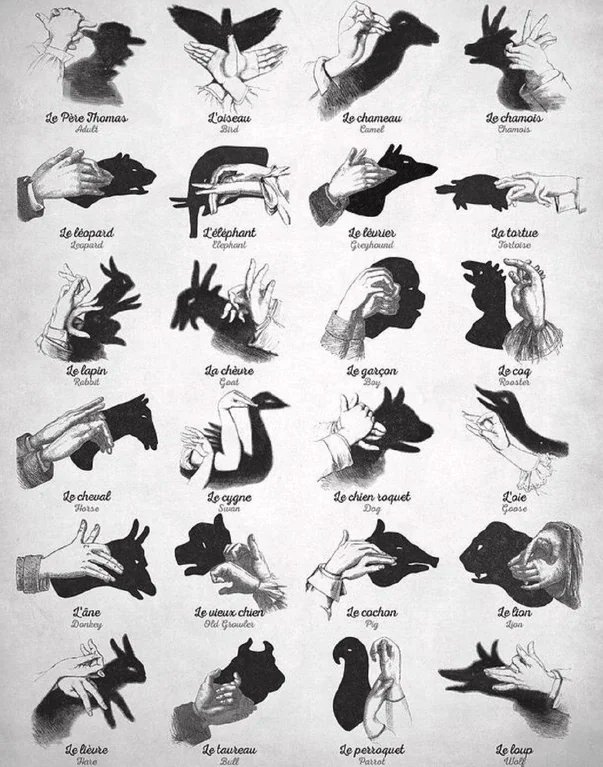 A guide to various hand shadows