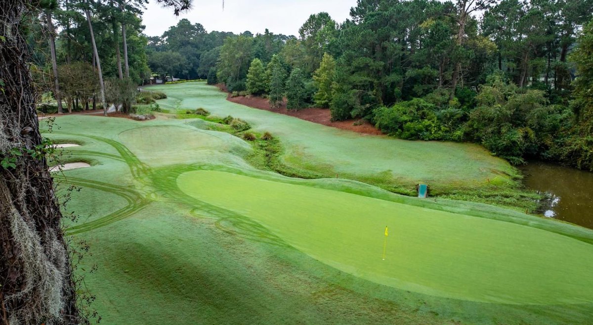 CaledoniaGolfFi's tweet image. The Par 3 11th ❤️ Mike Strantz Design @MyrtleBeachGolf @MBTrips @MyMyrtleBeach @Discover_SC @HammockCoastSC #MikeStrantzDesign #MikeStrantz #MyrtleBeachGolf #Pawleysisland