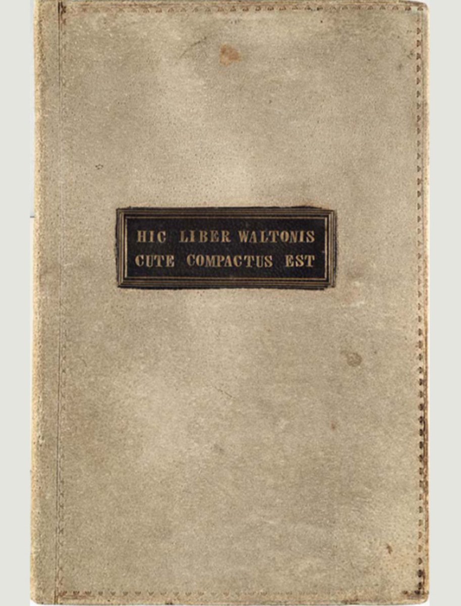 howjuliaseesit tweet media