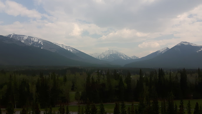 Chopperlogo's tweet image. Some scenic views from past travels!! 🚗