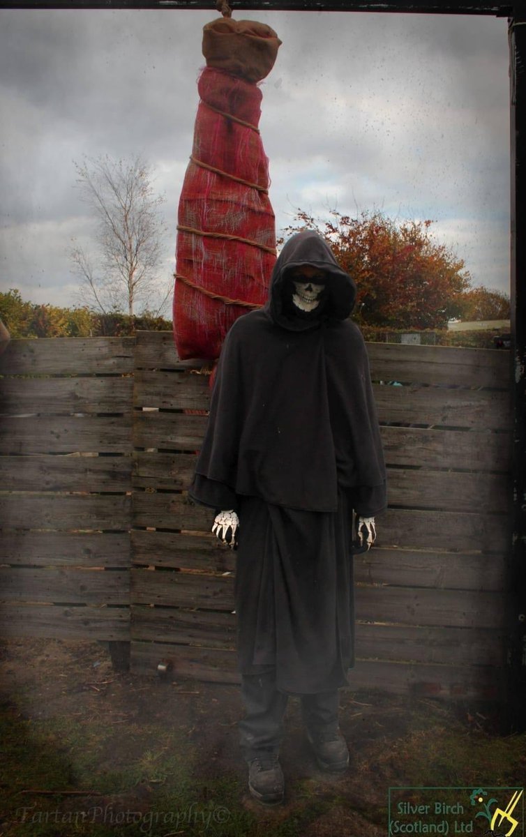 Here are some pictures of our Spooktacular Pumkin picking event. Courtesy of Tartan Pawtography. Didn't she do an amazing job!