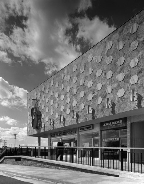 cy / sal sun 🐚 tweet media