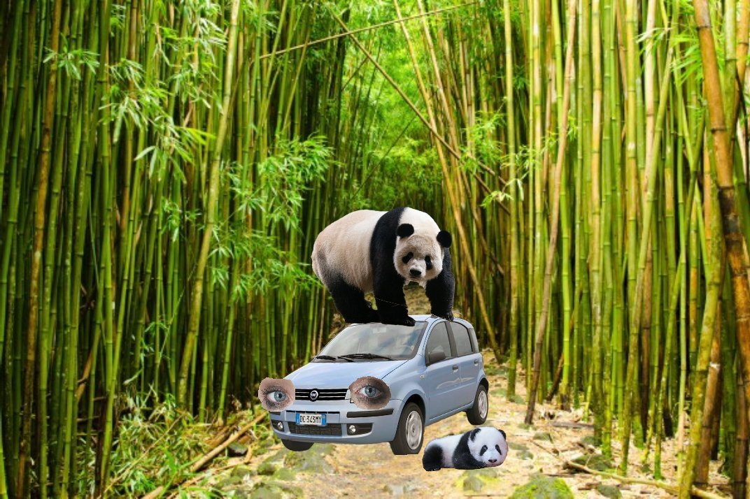 BerntBusfahrer's tweet photo. Ein Panda auf einem Panda mit Panda Augen und mit einem Pandababy https://t.co/eYeK5p9EW5