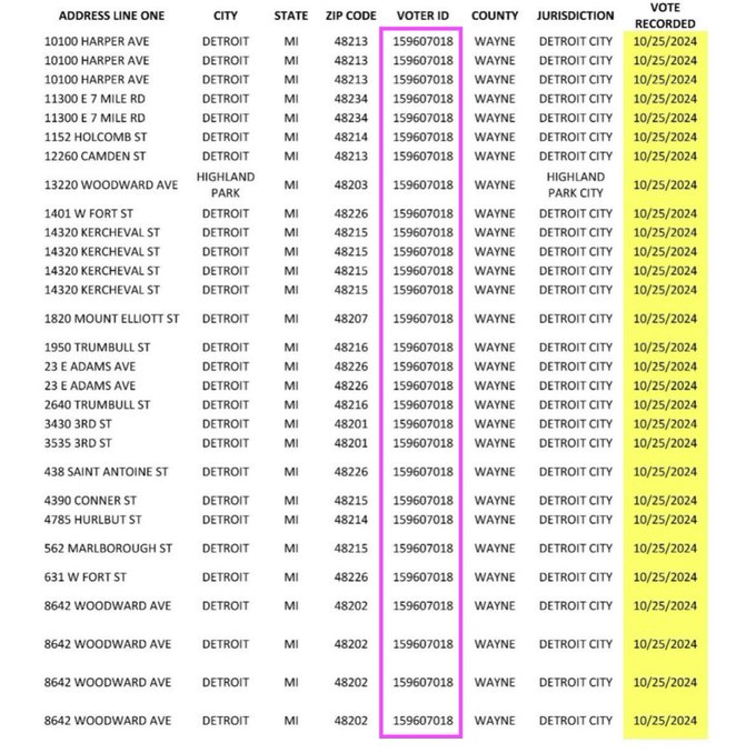 🚨BREAKING: Michigan is reporting one voter ID with 29 separate votes. 

What is going on?