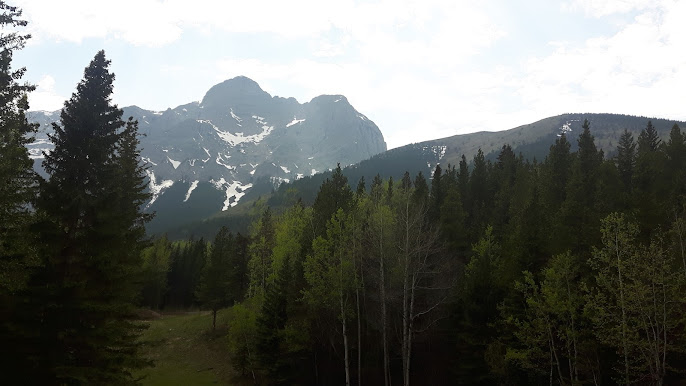 Chopperlogo's tweet image. Some scenic views from past travels!! 🚗