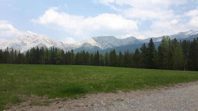 Chopperlogo's tweet image. Some scenic views from past travels!! 🚗