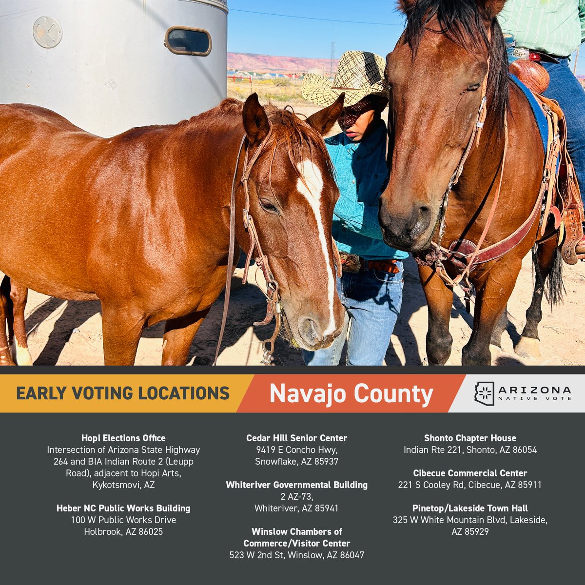 Arizona Native Vote 🗳️ tweet media