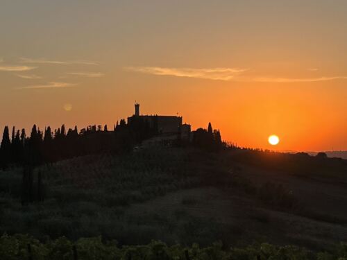 TuscanVines ® tweet media