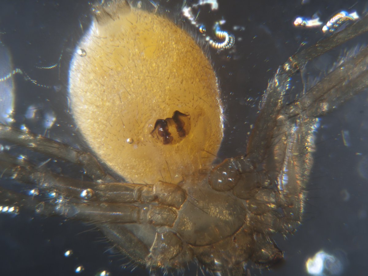 Andrew Douglas tweet media