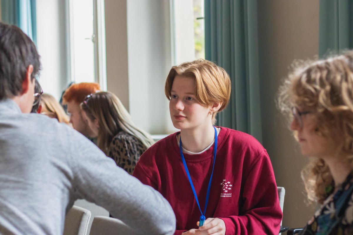 European Youth Parliament tweet media