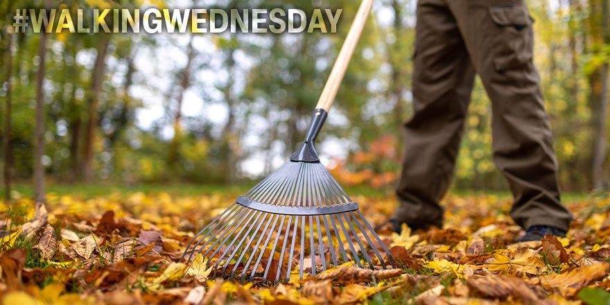 MetaStarInc's tweet photo. 🍁 The leaves are calling your name! 🍁
This #WalkingWednesday, enjoy the beautiful fall weather by getting outside. Raking leaves is a great way to get your steps in and enjoy the season! 🍂 #FallFitness #GetMoving https://t.co/VxNSQyfzio