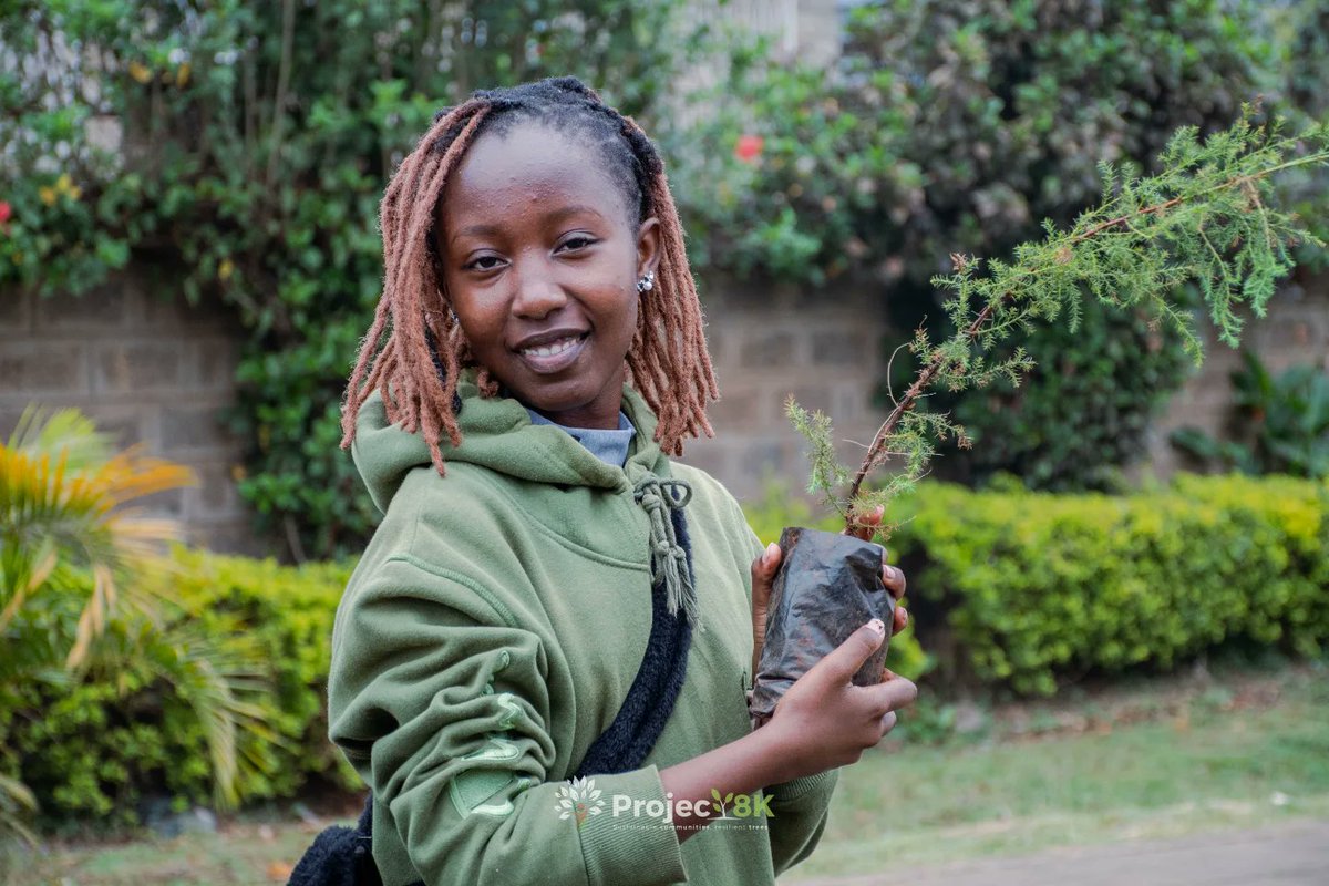 Project8K's tweet photo. P8k Initiative explores the symbiosis between wild and cultivated tree-based landscapes as a means to bolster nutrition security and climate resilience a pivotal role that forests and agroforestry play in supporting healthy diets, particularly in rural, developing communities. https://t.co/047zNzcVuY