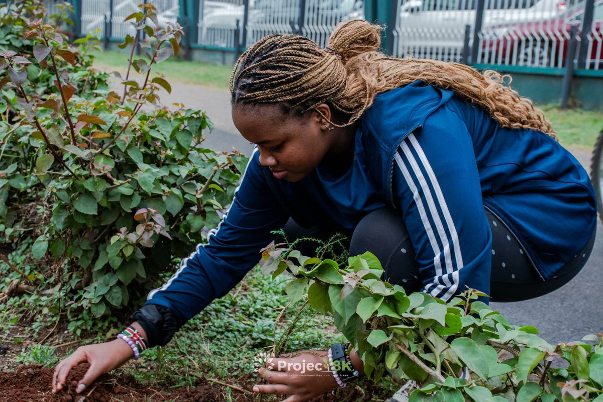P8k Initiative explores the symbiosis between wild and cultivated tree-based landscapes as a means to bolster nutrition security and climate resilience a pivotal role that forests and agroforestry play in supporting healthy diets, particularly in rural, developing communities.