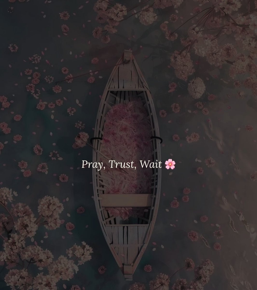 Al__Quraan's tweet image. Pray, trust and wait