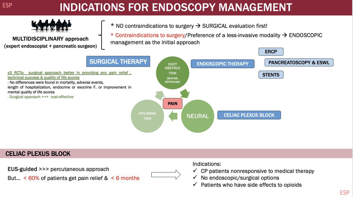 Elena Santos-Perez tweet media