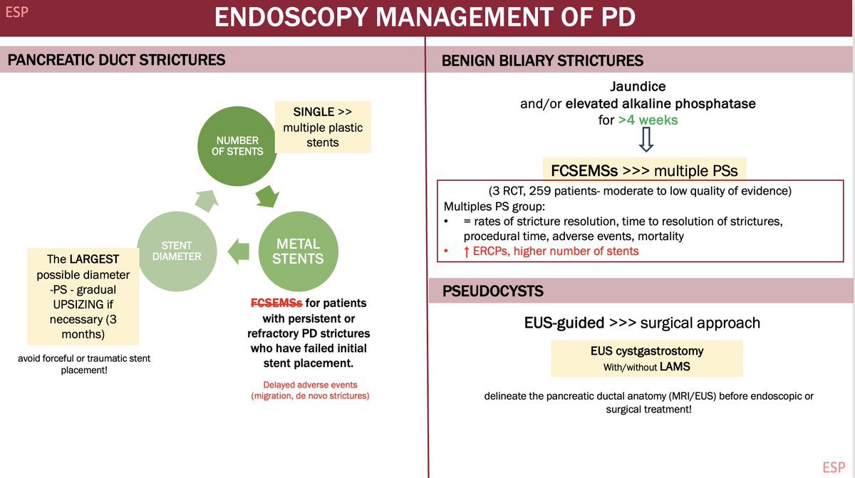 Elena Santos-Perez tweet media