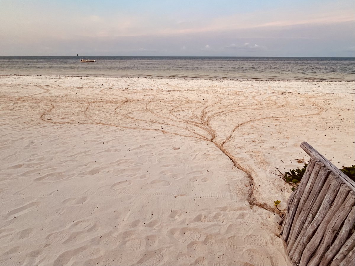 I enjoyed drawing on the beaches. Want more.

#beach #drawing #sand #coast
