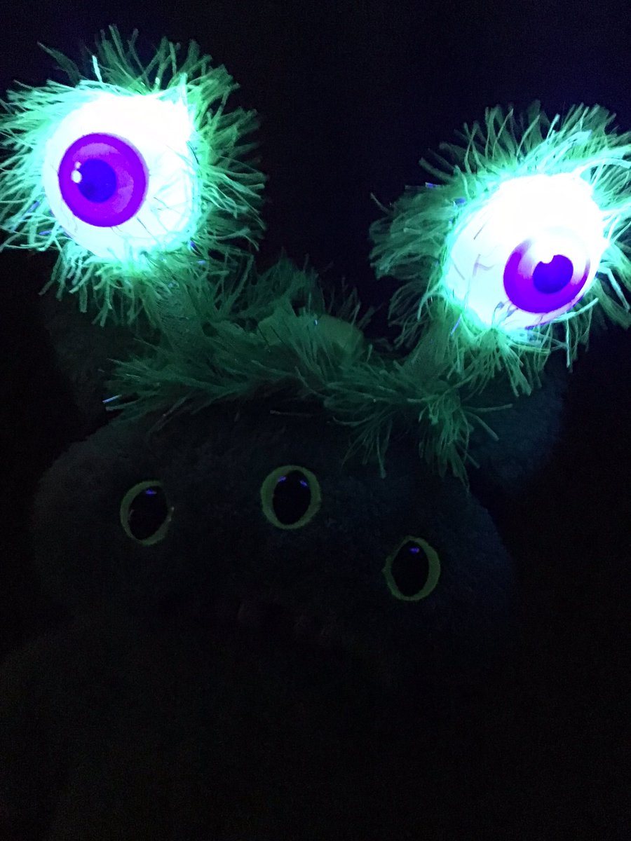 SJW2271's tweet photo. Moss has his eyes on you! #fugglers #fugglerssaved #FuggGlow #plushiesoftwitter https://t.co/pKV4dNBxQd