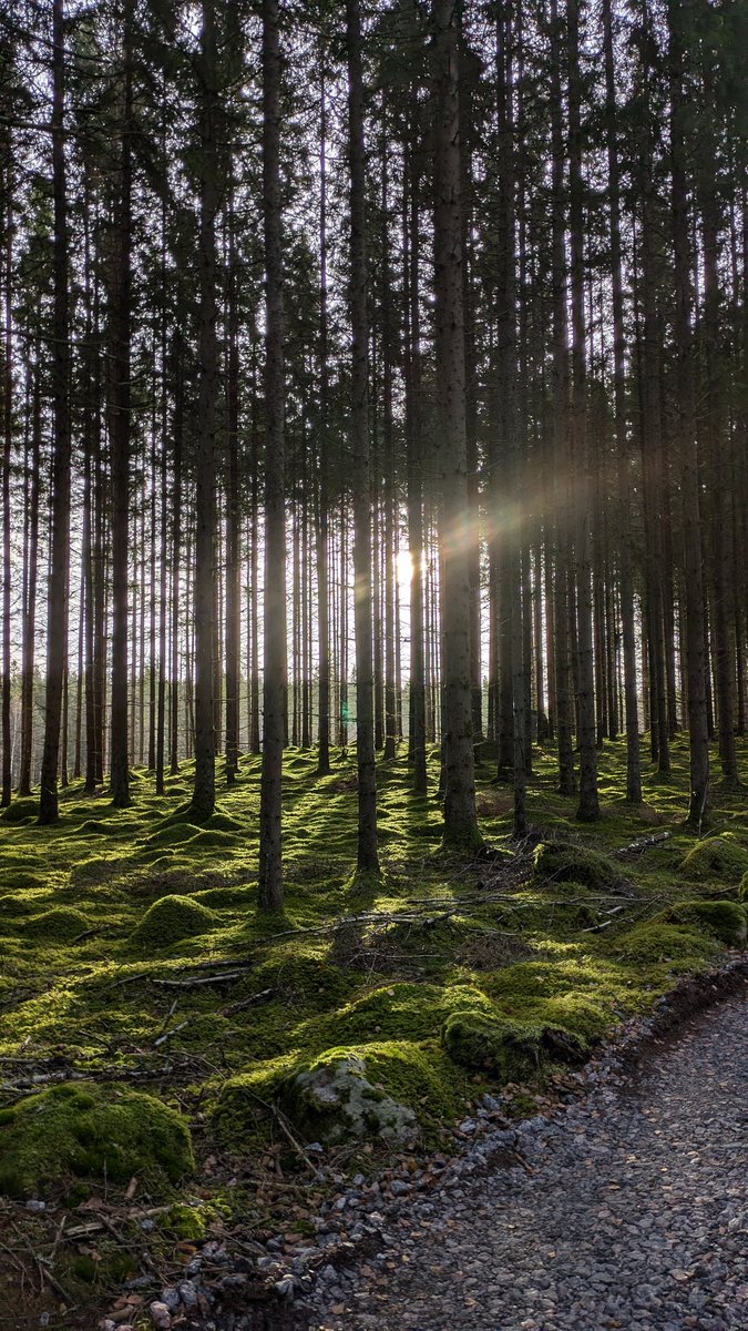 Simon Fredriksson tweet media