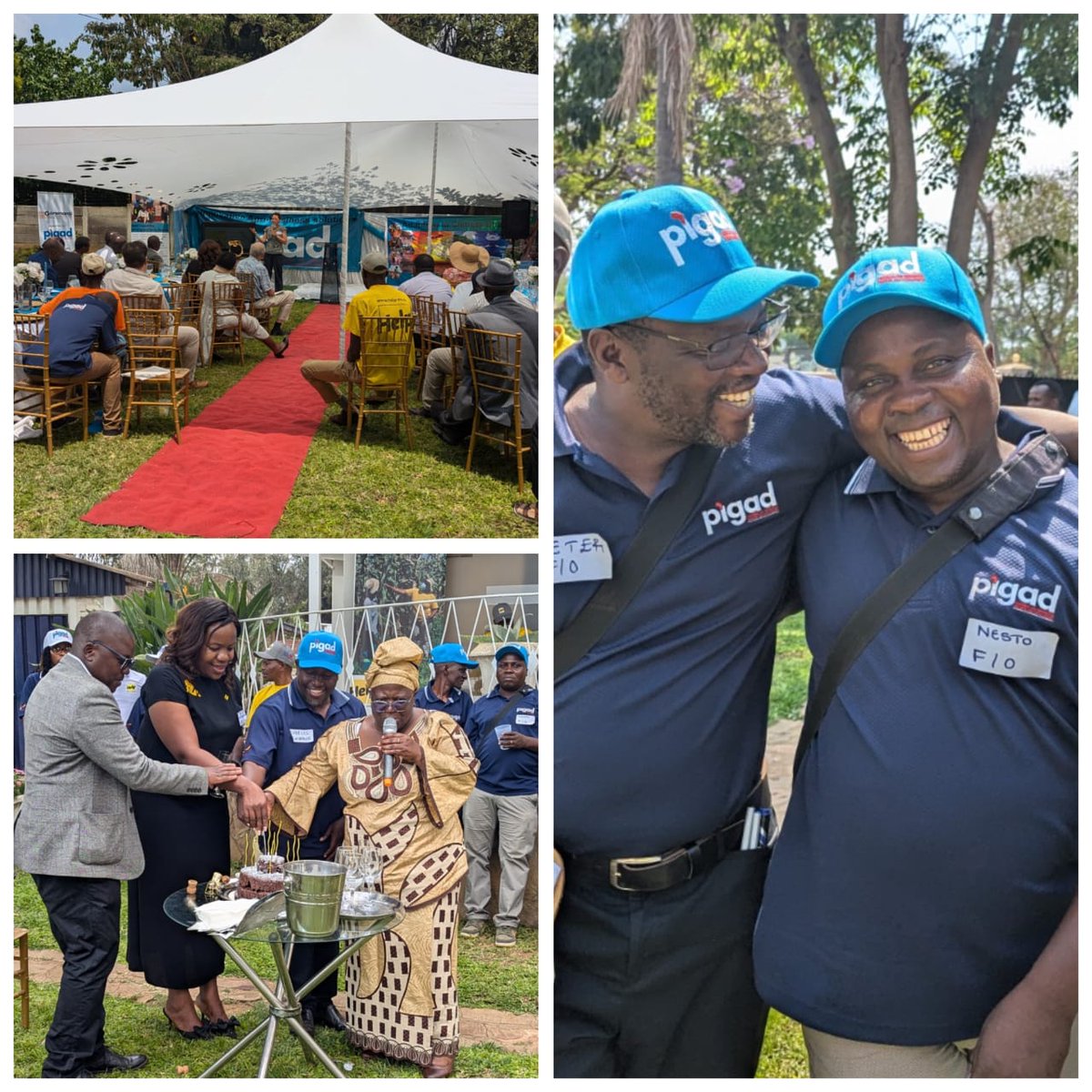 Celebrating 10 years of pigad !🎇 That's 10 years of supporting small-scale farmers, promoting gender-sensitive family businesses, and driving innovative rural and urban micro-enterprise development. A decade of making a positive impact! 🎊🎊#pigad10Years #SustainableDevelopment