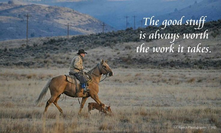Michael Doyle (@michaelsdoyle) on Twitter photo Work towards your dreams! <a href="/BellaZZu/">Bella🧚♂️</a> <a href="/pinkrosebelle/">Rose belle💜🌹👑🎻🪽💜</a> <a href="/roybearcat/">🇺🇸 Bearcat 🇺🇸</a> <a href="/vkjha783/">Vinod Kumar Jha</a> <a href="/UKAHEKA/">ÚKA HEKA</a> <a href="/SchieferTomTom/">Thomas Schiefer</a> @tatsuharu0012 <a href="/511JN/">الصحفي السعودي</a> <a href="/Jowdakk/">borscht</a> <a href="/22BMCG/">New World</a> <a href="/msennna/">𝓜𝓪𝓾𝓻𝓸 🇧🇷 22 🇧🇷</a> @Amber7867891458 @_Kanwaly <a href="/KandisSher13897/">Ranjith</a> <a href="/vilaandrealili1/">AňԀяєa し.❥ ∞</a> <a href="/TomaisMac/">NoneOfYourBusiness2 🍇</a> <a href="/ISafeyet/">IsItSafeYet KKKommiela Ruined CA,USA Next?HatesICE</a> <a href="/SteveHammActor/">Steven P Hamm</a> <a href="/LeoJoyfulLeader/">Leo Ortiz, M.Ed. JoyfulLeader</a> <a href="/PollSter_Mike1/">The Curious Pollster</a> Work towards your dreams! <a href="/BellaZZu/">Bella🧚♂️</a> <a href="/pinkrosebelle/">Rose belle💜🌹👑🎻🪽💜</a> <a href="/roybearcat/">🇺🇸 Bearcat 🇺🇸</a> <a href="/vkjha783/">Vinod Kumar Jha</a> <a href="/UKAHEKA/">ÚKA HEKA</a> <a href="/SchieferTomTom/">Thomas Schiefer</a> @tatsuharu0012 <a href="/511JN/">الصحفي السعودي</a> <a href="/Jowdakk/">borscht</a> <a href="/22BMCG/">New World</a> <a href="/msennna/">𝓜𝓪𝓾𝓻𝓸 🇧🇷 22 🇧🇷</a> @Amber7867891458 @_Kanwaly <a href="/KandisSher13897/">Ranjith</a> <a href="/vilaandrealili1/">AňԀяєa し.❥ ∞</a> <a href="/TomaisMac/">NoneOfYourBusiness2 🍇</a> <a href="/ISafeyet/">IsItSafeYet KKKommiela Ruined CA,USA Next?HatesICE</a> <a href="/SteveHammActor/">Steven P Hamm</a> <a href="/LeoJoyfulLeader/">Leo Ortiz, M.Ed. JoyfulLeader</a> <a href="/PollSter_Mike1/">The Curious Pollster</a>