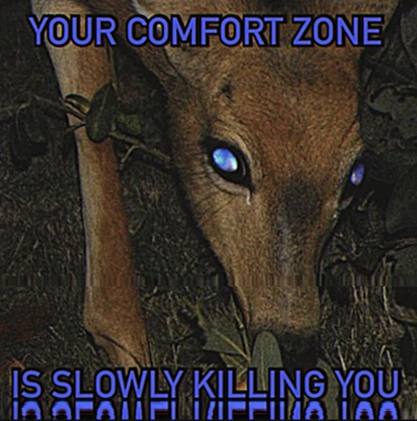 ✧ (@northstardoll) on Twitter photo 