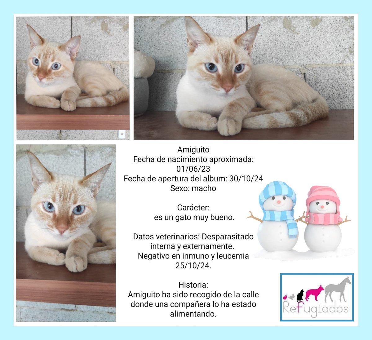 Amiguito
facebook.com/media/set/?set…