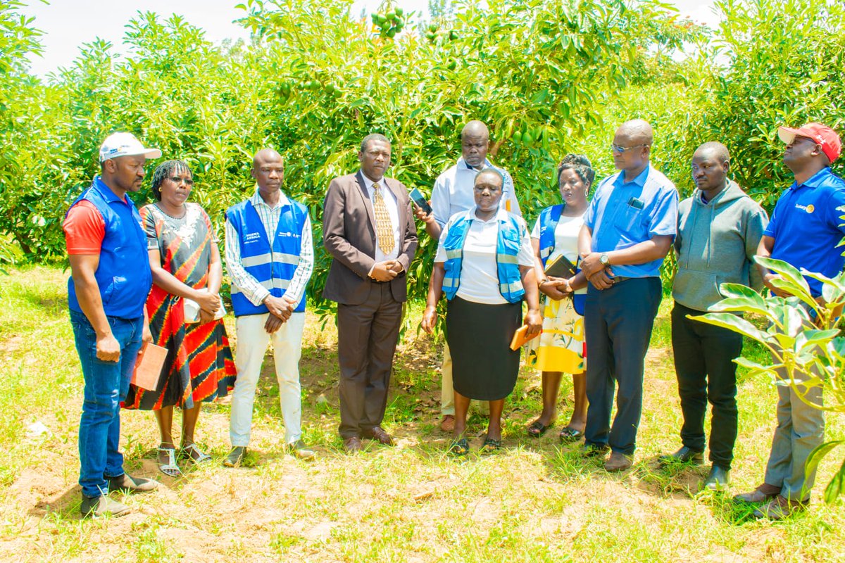 SiayaRotary's tweet photo. Wonderful sensitization training at an avocado model farmer at Lwandanyi village in Sirisia Sub County, Bungoma County, KENYA. We are partnering with the Rotary Club of Bungoma Magharibi &amp; The Rotary Club of Tuli, USA on an avocado Project #RotaryInternational #TheMagicofaRotary https://t.co/NGhes6VgUh