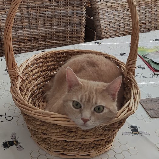 Tomasz Oryński tweet media