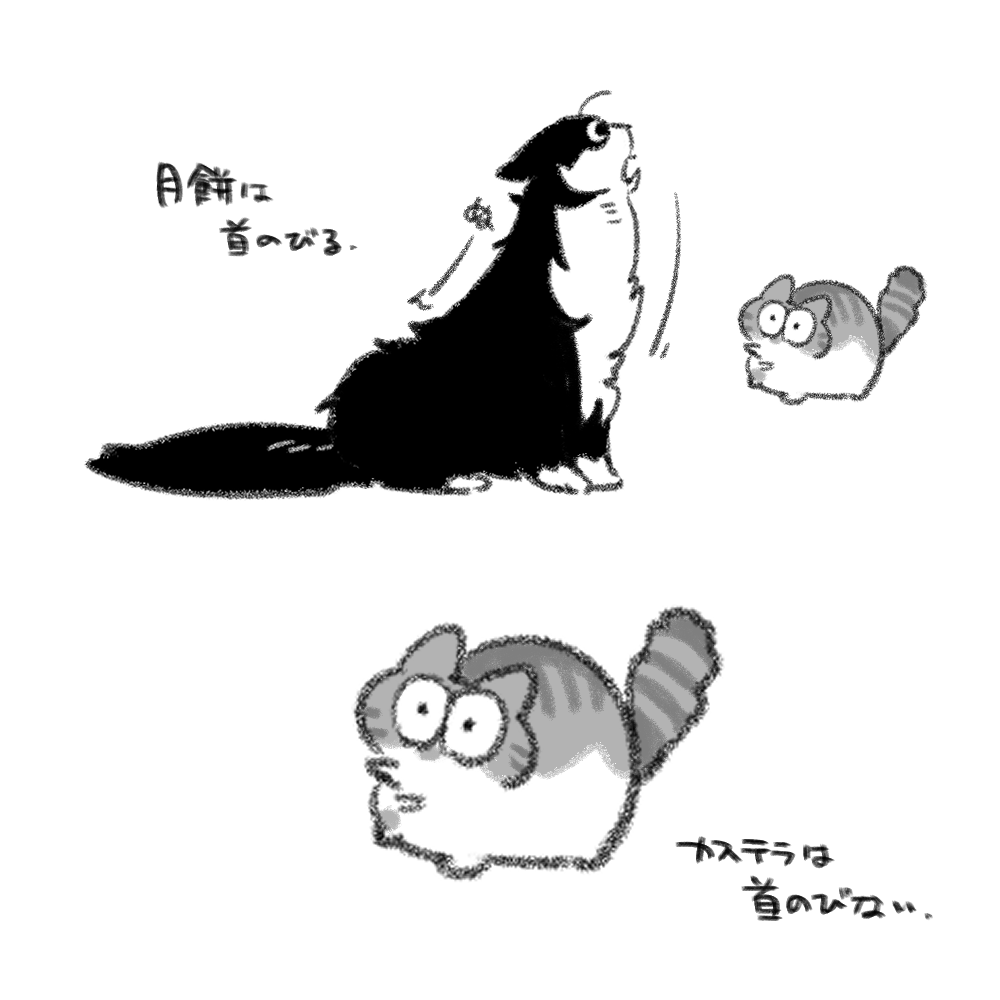 家のねこのメモです 