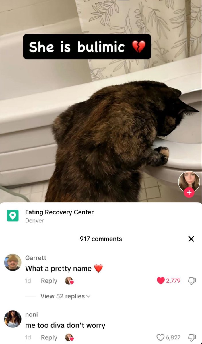 bugün hasta sevk ederken kustum, üstüne ambulans arızasına giderken bi daha kustum, bu kedoyum şu an💔