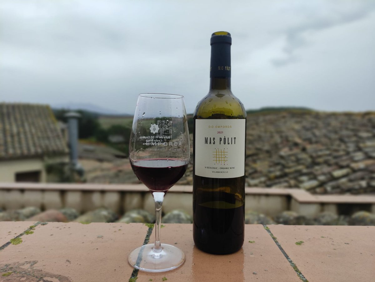 Museus de Banyoles tweet media