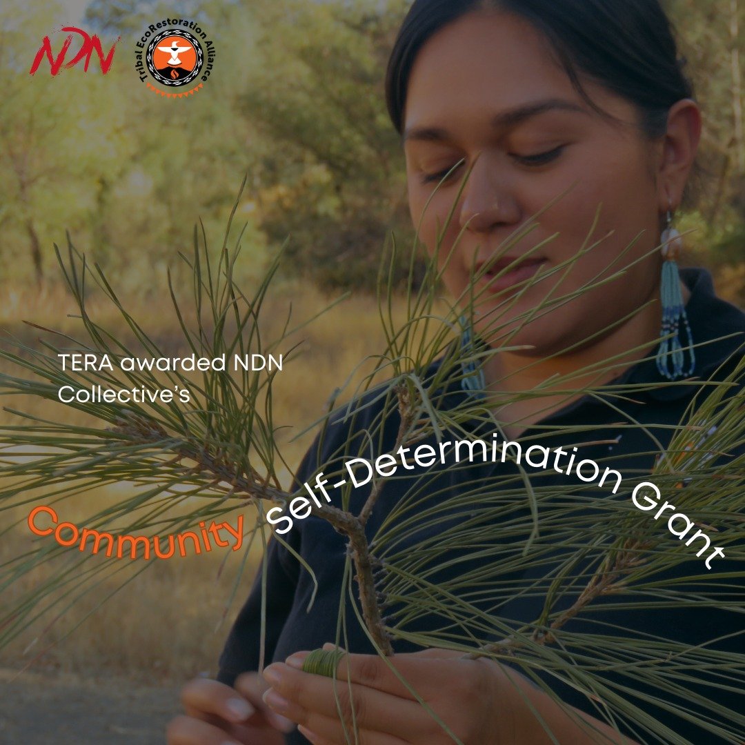 We are proud to announce that we have been awarded  <a href="/ndncollective/">NDN Collective</a>'s Community-Self Determination Grant for our Restoring Native Stewardship Project which aims to revitalize ecology, economy and culture through Indigenous-led stewardship. We express our deepest gratitude! Oh!