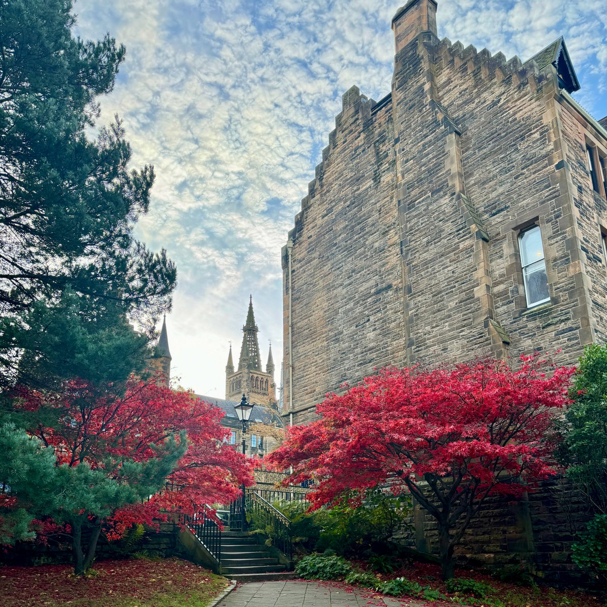 University of Glasgow tweet media