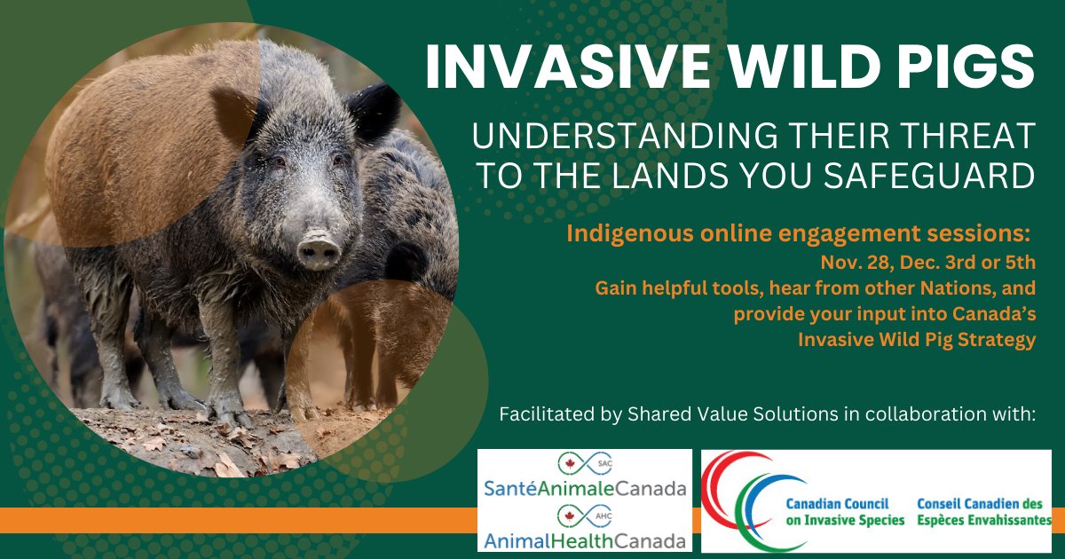 Join this online session to learn about invasive wild pigs &amp; to provide your input on a national wild pig strategy.
Available dates: Nov 28th, Dec 3rd and 5th.
Sign up here hubs.ly/Q02TFd6D0
Learn more: hubs.ly/Q02S_r0t0
Get in touch: info@sharedvaluesolutions.com
