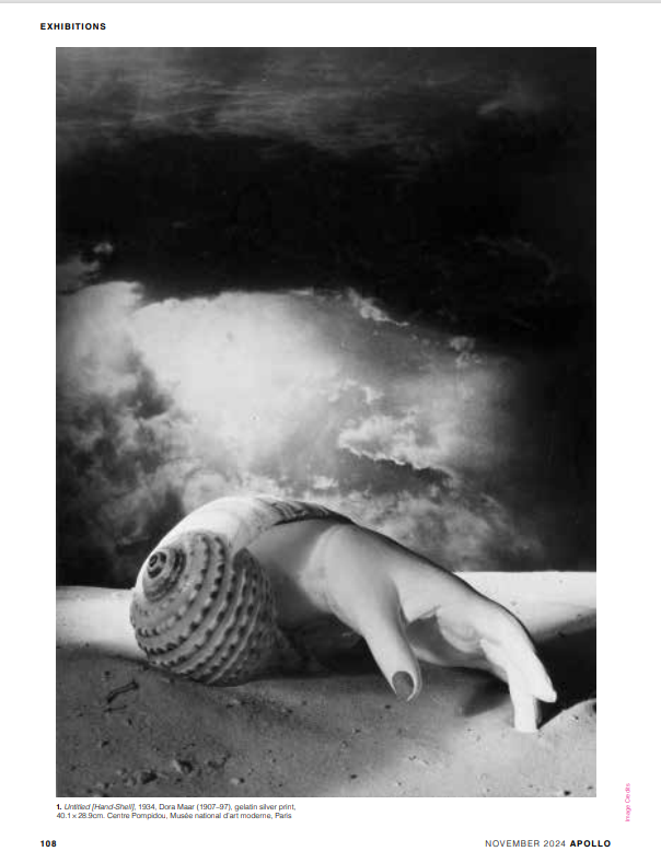 Christopher Turner tweet media