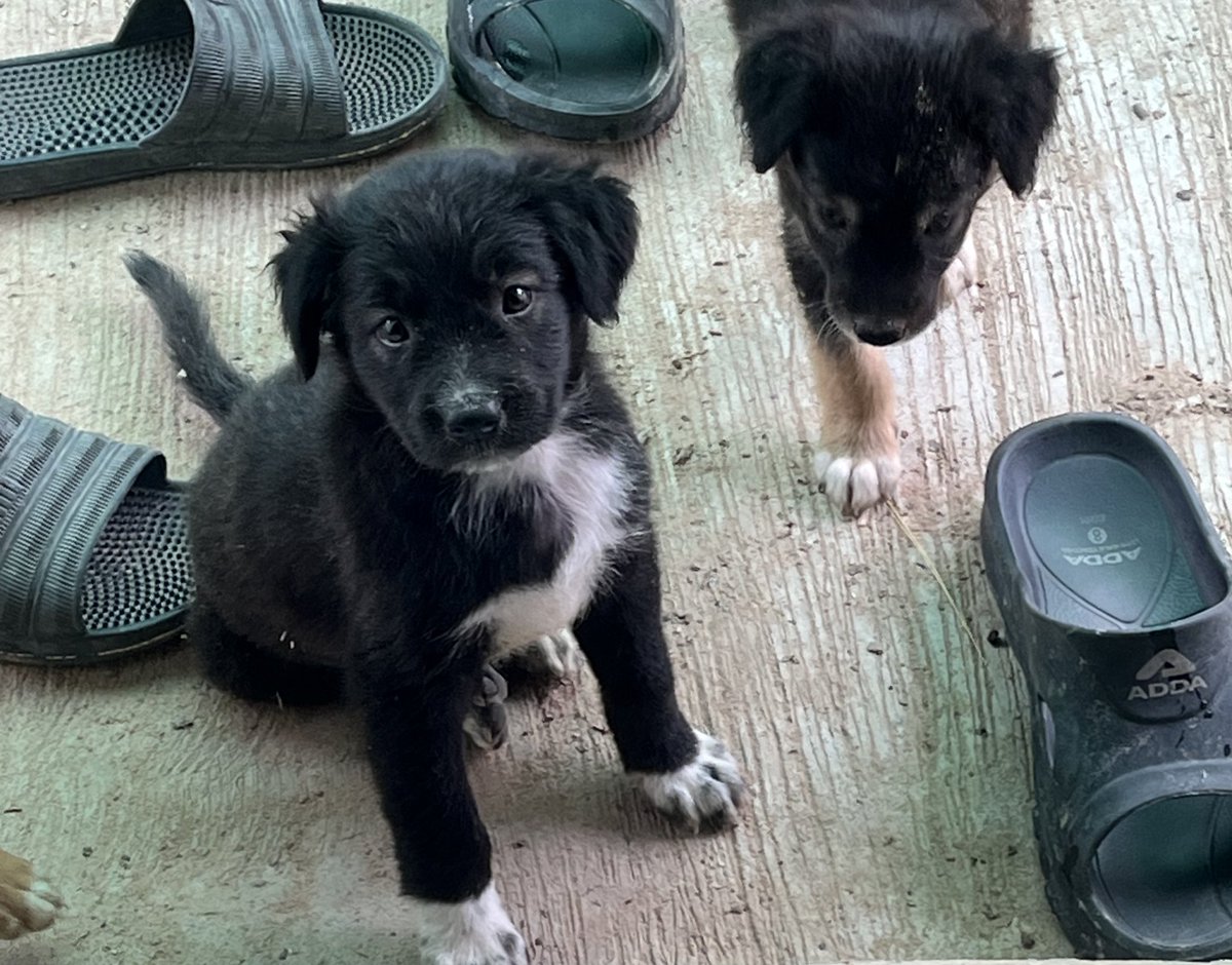 tamdeowgoodboi's tweet photo. เล้กๆก้น่าอมหมดแหละ https://t.co/cFRjX1N4ff