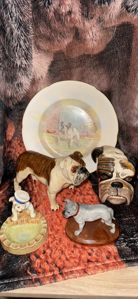 collectibulldog's tweet photo. THE #BRINDLES
#BASFORD #BULLDOGS USED YO BE #ENGLANDS MOST FAMOUS #BULLDOG AFFIX. THE NAME CAME AFTER THE ST THEY LIVED ON. OUT OF ALL MR RODDYS #CHAMPIONS IT WAS THIS BRINDLE AND WHITE #BEAUTY THAT WAS #IMMORTALISED TIME AND TIME AGAIN. https://t.co/vqpvsgPm4v
