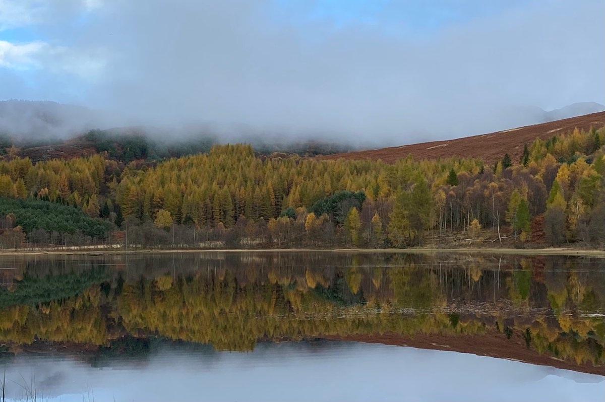 Dave Tubby tweet media