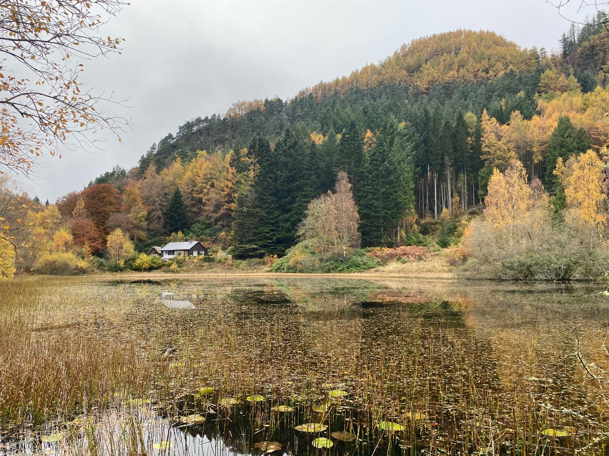 Dave Tubby tweet media