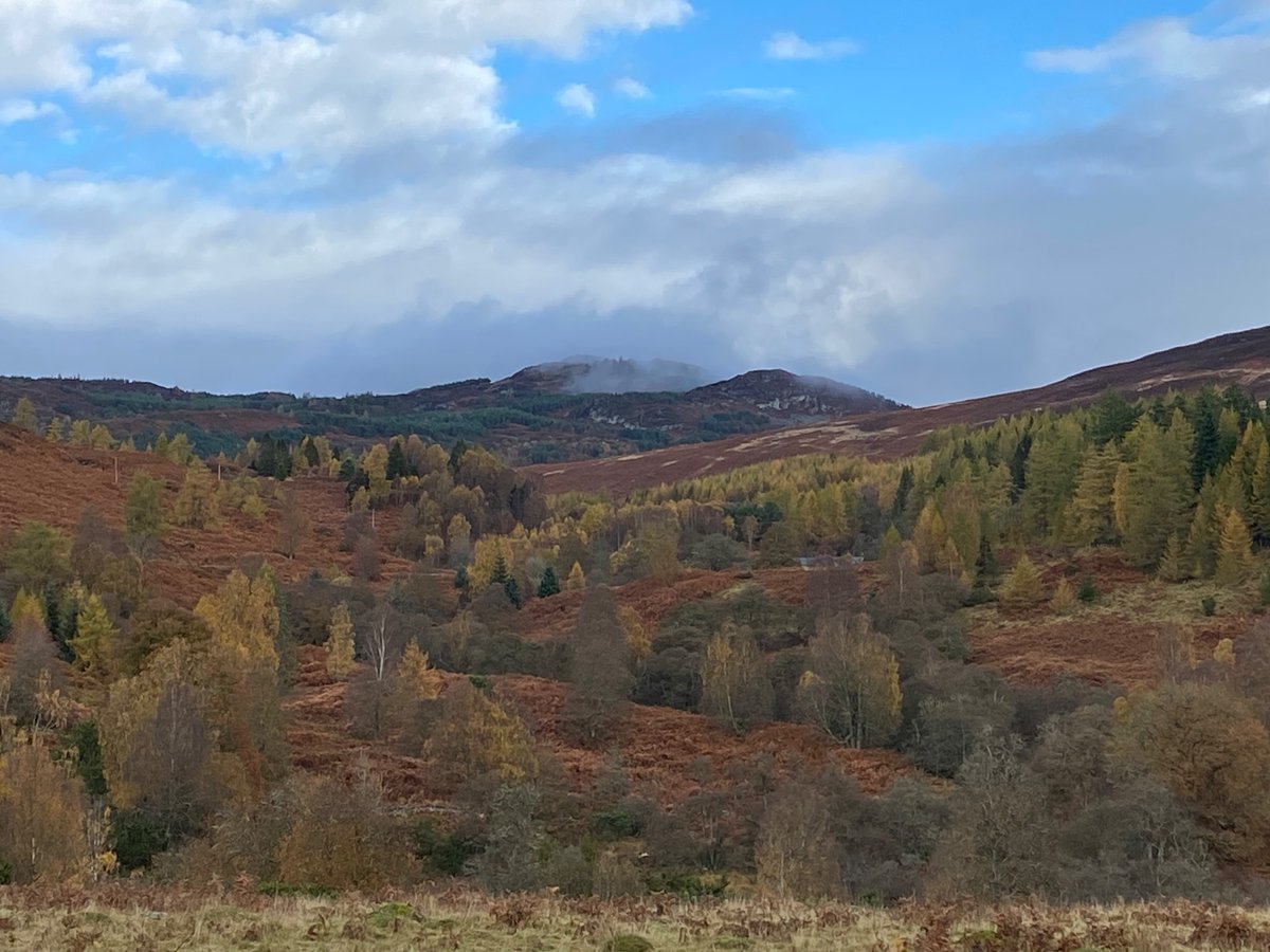 Dave Tubby tweet media