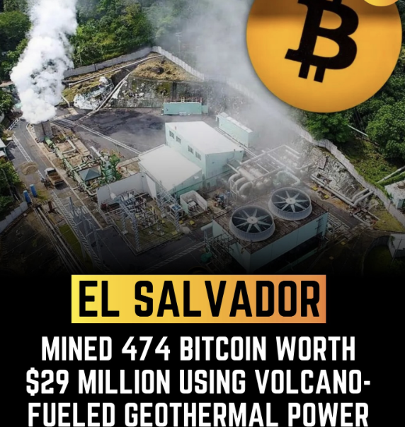 ☣️ Pleb Kruse = BTC foundationalist in exile 🟩🔆 tweet media