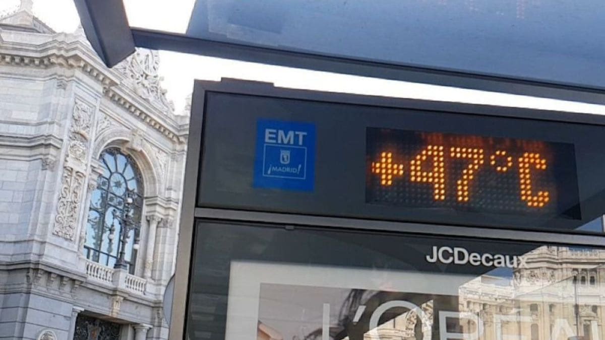 Pedro Vallín tweet media