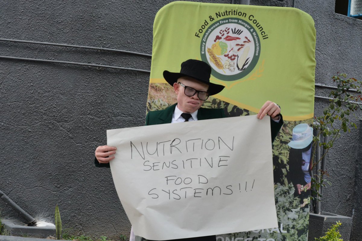 Food and Nutrition Council Zimbabwe tweet media