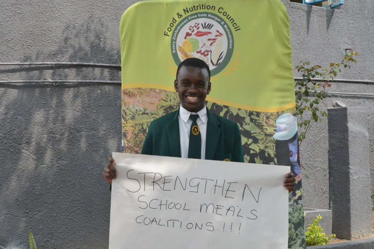 Food and Nutrition Council Zimbabwe tweet media
